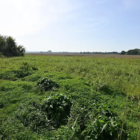 & דירה הוווכט